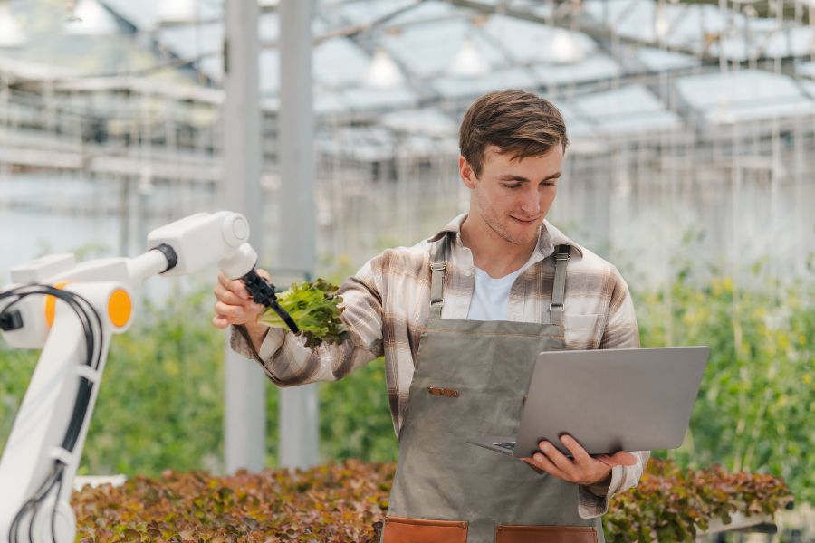 A worker holding a laptop inspecting a plant alongside an automated robotic arm in a greenhouse.
