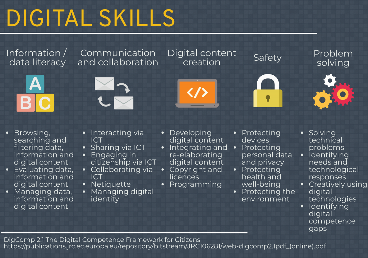 Figure 1: The digital competence framework for citizens