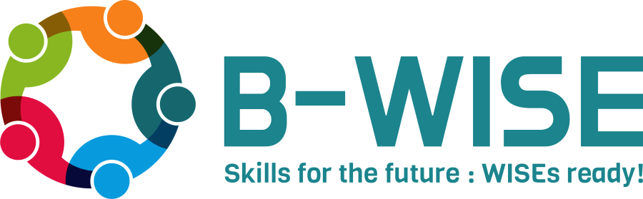 b-wise-logo