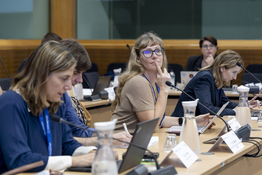 People in a conference room