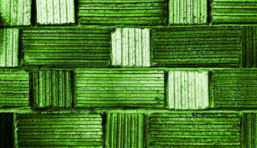 wall-813457_1920.jpg