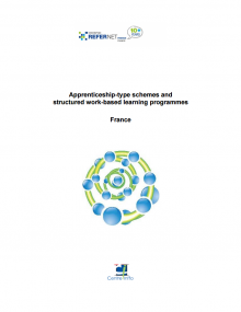 Apprenticeships and work-based learning structured programmes - France - 2014
