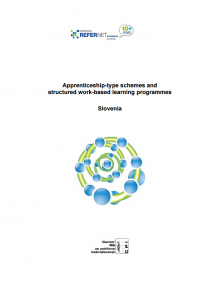 Apprenticeships and work-based learning structured programmes - Slovenia - 2014